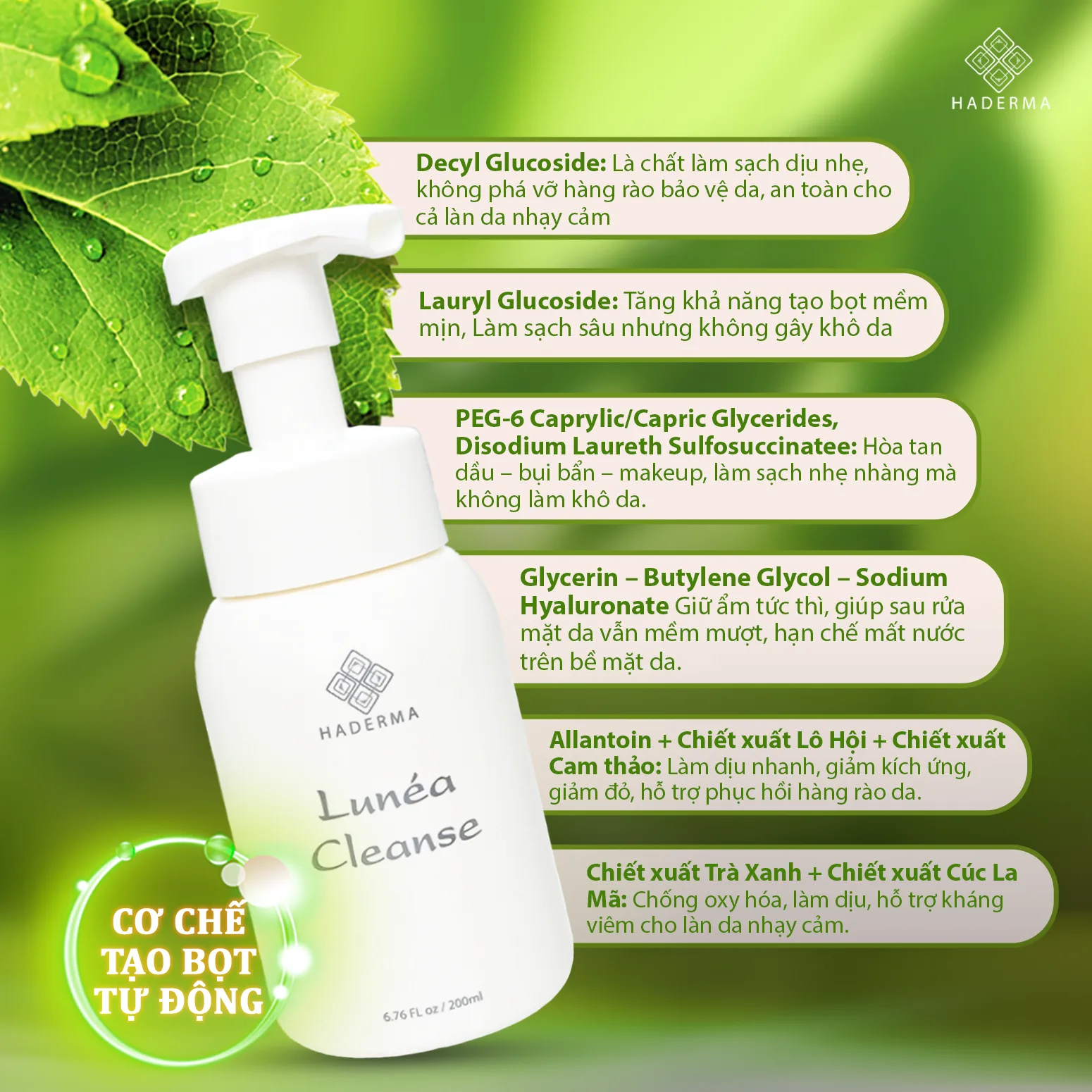 Lunéa Cleanse Lunéa Cleanse